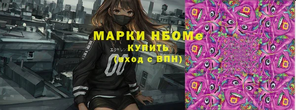 кокс Дмитриев