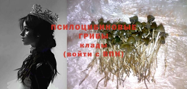 герыч Дмитров