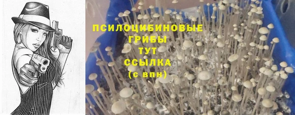 герыч Дмитров