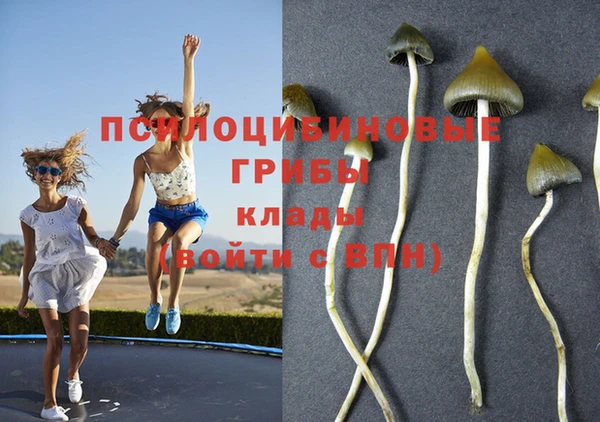 каннабис Дмитровск